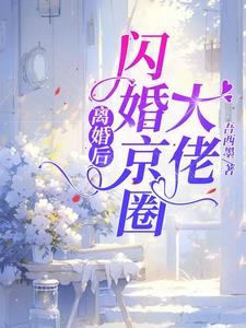 离婚后闪婚京圈大佬的小说最新章节